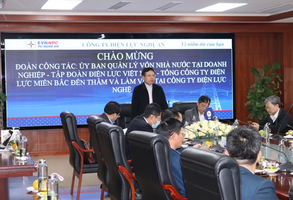 Phó Chủ tịch Ủy ban Quản lý vốn nhà nước tại doanh nghiệp Hồ Sỹ Hùng phát biểu chỉ đạo tại buổi làm việc
