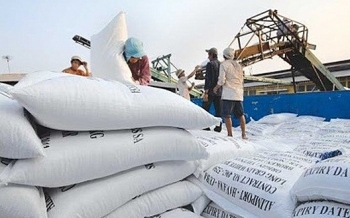 Bộ Công Thương thực hiện thông báo của Chính phủ về điều hành xuất khẩu gạo
