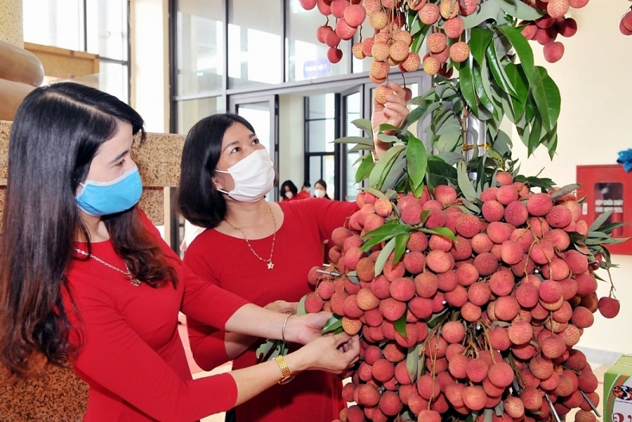 Sản phẩm vải thiều Bắc Giang trưng bày tại Hội nghị trực tuyến xúc tiến tiêu thụ vải thiều tỉnh Bắc Giang năm 2021