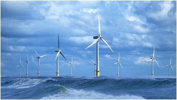 Cần khuôn khổ pháp lý vững chắc để thúc đẩy phát triển điện gió ngoài khơi