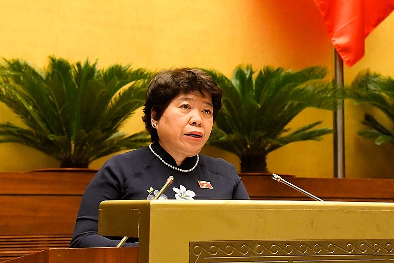 Chủ nhiệm Ủy ban Xã hội của Quốc hội Nguyễn Thúy Anh trình bày báo cáo thẩm tra
