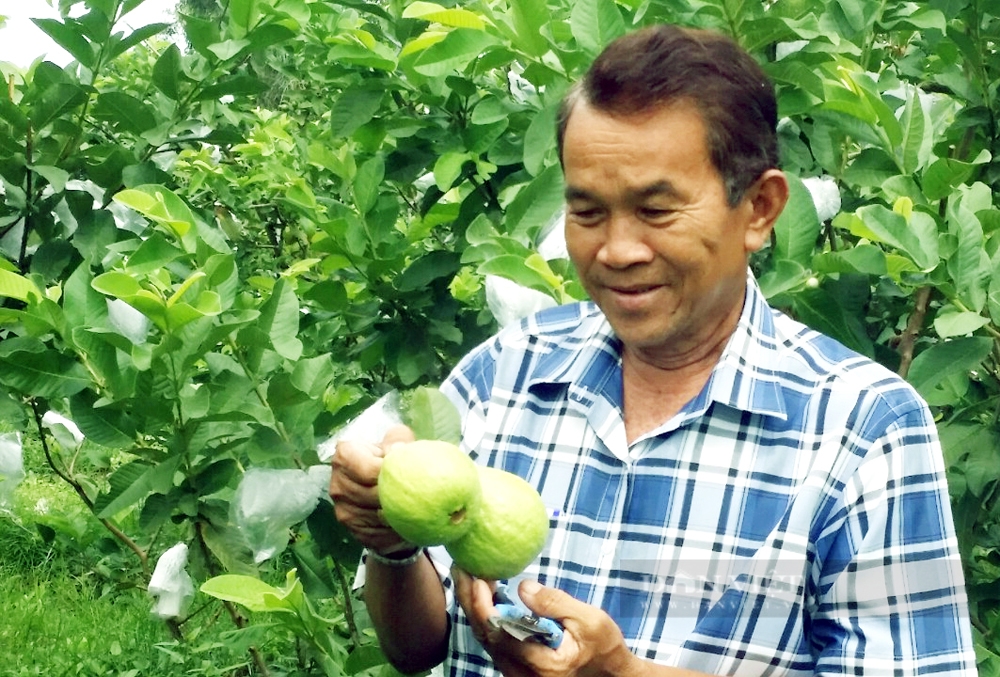 Lão nông Khmer  được tôn vinh Nông dân Việt Nam xuất sắc
