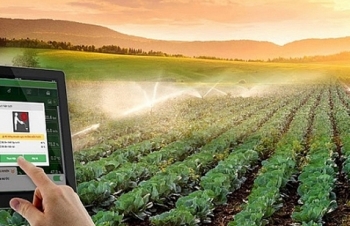 Nông nghiệp 4.0- từ chuyện “trông trời” đến cảm biến nhà kính