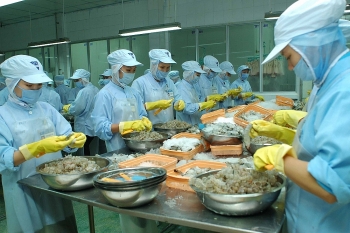 Ha Tinh diversifies sources of industry promotion capital