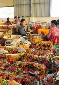 Covid-19 outbreak challenges Vietnam’s exports