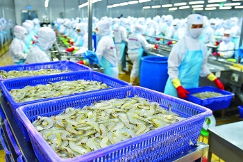 China’s growing hunger for Vietnamese seafood