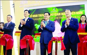 Vietnamese goods wow Chinese consumers  at CAEXPO