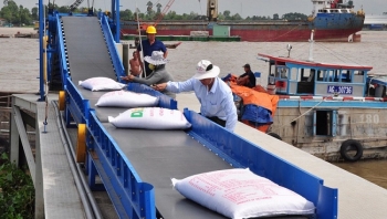 Vietnam seeks to boost demand for its rice exports