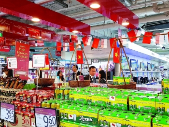 Vietnamese goods carve out shelf space in foreign stores