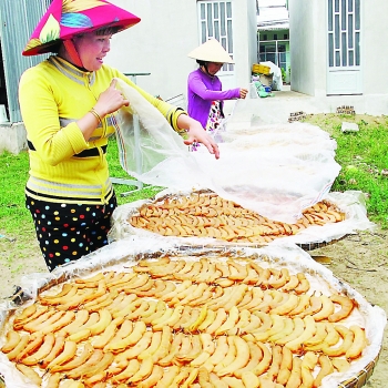 Ca Mau Province: Industry promotion increases business efficiency
