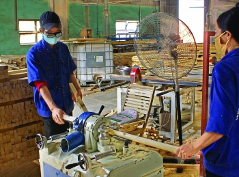 Kien Giang Province boosts rural industrial development