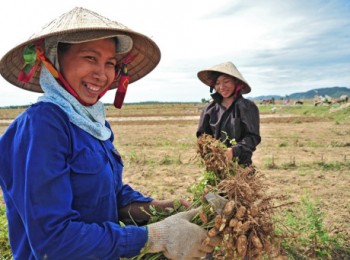 Hỗ trợ phụ nữ phát triển kinh tế, thoát nghèo bền vững