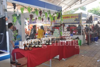 Hơn 300 gian hàng tham gia Hội chợ Xuân Đinh Dậu Bình Thuận 2017