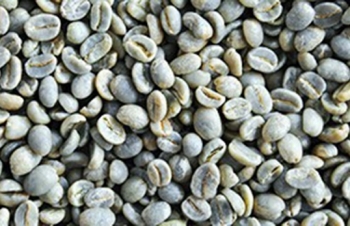 Cà phê vẫn là mặt hàng xuất khẩu số 1 của Việt Nam vào Algeria năm 2018