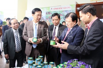 Quảng Ninh tổ chức hội nghị lớn về phát triển mỗi xã một sản phẩm