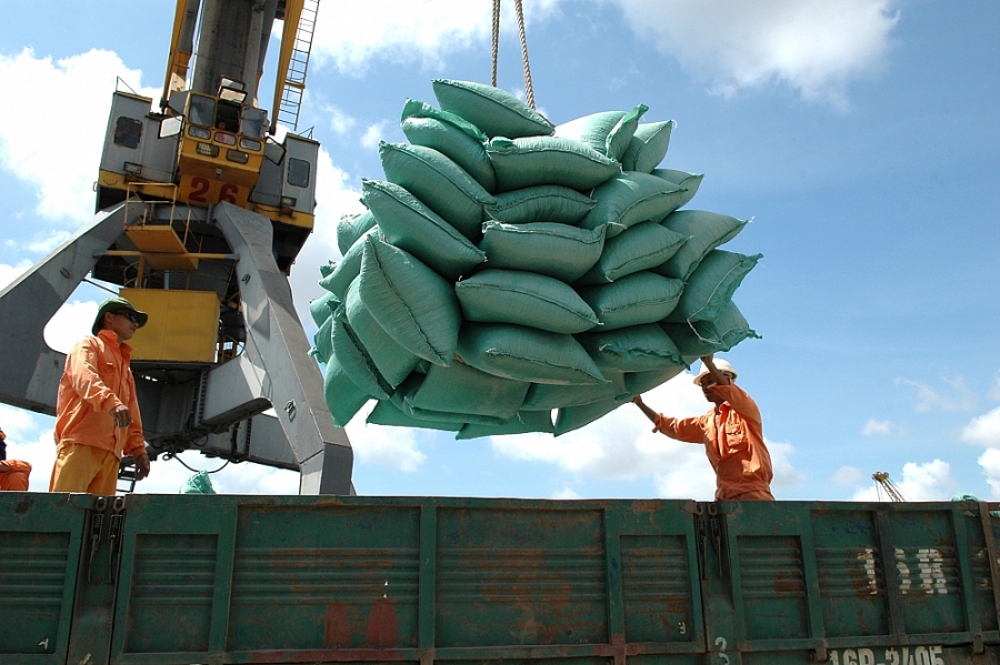 Tạo điều kiện thuận lợi cho hoạt động xuất khẩu gạo