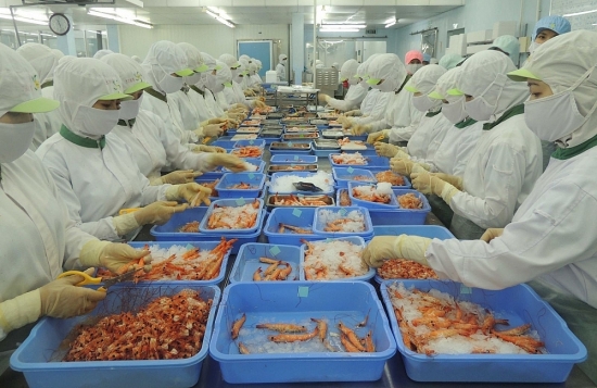 Phòng vệ thương mại trong ngành thủy sản: Sẵn sàng đấu tranh vì lợi ích chính đáng của doanh nghiệp