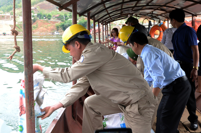 Thủy điện Sơn La thả hơn 20 nghìn cá giống xuống hồ thủy điện