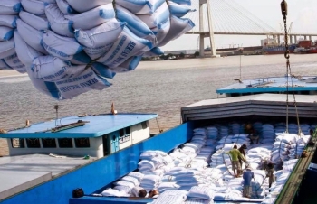 Điều hành xuất khẩu gạo: Cần tăng cường sự phối hợp và trách nhiệm - Bài 1