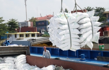 Điều hành xuất khẩu gạo: Cần tăng cường sự phối hợp và trách nhiệm- Bài 2
