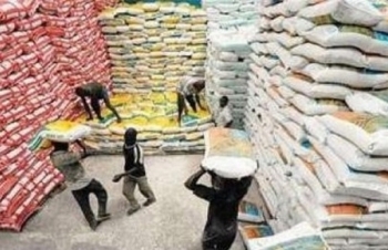 Đôi nét về thị trường gạo Senegal