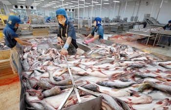Xuất khẩu nông, thủy sản sang Trung Quốc: Sao còn phân biệt "khó tính, dễ tính"?