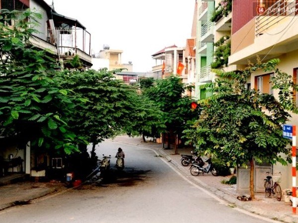 Hà Nội mở không gian nghệ thuật, ẩm thực tại phố đi bộ Trịnh Công Sơn