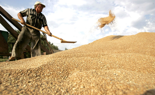 Kết quả hình ảnh cho Mỹ xuất khẩu lúa mì , gạo sang trung quốc