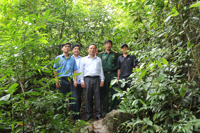 Quảng Bình: Tăng cường hoạt động bảo vệ rừng