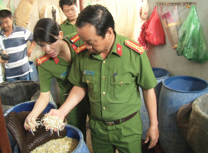 Thừa Thiên Huế phát hiện cơ sở dùng hóa chất lạ sản xuất giá đỗ