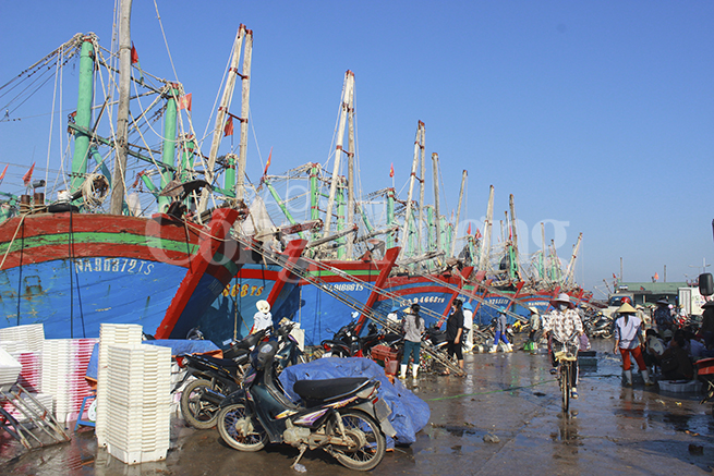 Nhu cầu vốn khai thác hải sản xa bờ tại Nghệ An tăng mạnh