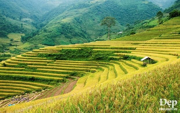 Beautiful vietnam, Scenery, Vietnam travel