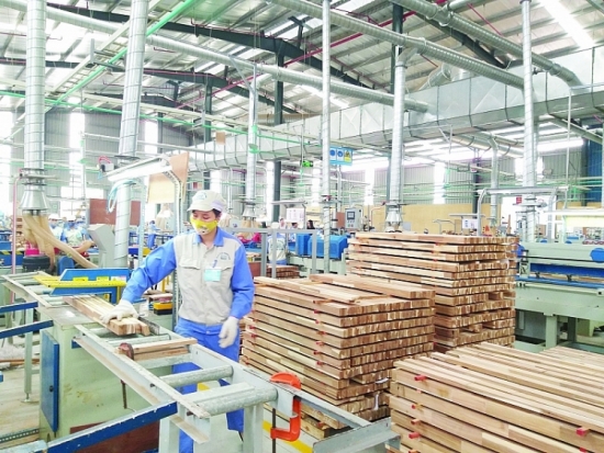 Đã có quy định gỗ hợp pháp, gỗ Việt "thẳng tiến" vào EU
