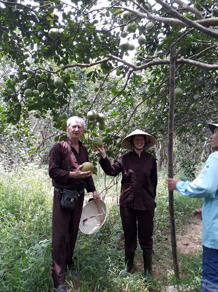 Du lịch xanh- cú hích phát triển du lịch Thừa Thiên Huế bền vững