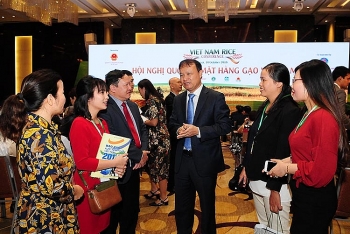 Xây dựng thương hiệu cho gạo Việt: Không thể chậm trễ