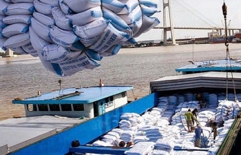 Bờ Biển Ngà vượt lên là thị trường xuất khẩu gạo lớn nhất tại châu Phi