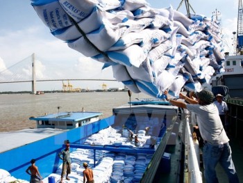 Xuất khẩu gạo quý 1 giảm: Doanh nghiệp “đón gió” nhầm hướng