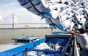 Thủ tướng yêu cầu xuất khẩu gạo phải xem xét kỹ lưỡng, thận trọng
