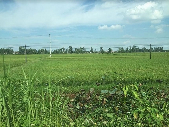 Phát triển Khu công nghiệp sạch Kim Động: UBND tỉnh Hưng Yên có “cản bước” nhà đầu tư?
