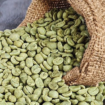 Tiềm năng xuất khẩu cà phê sang thị trường Bắc Phi