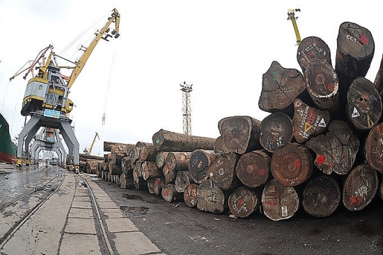 Tình hình nhập khẩu gỗ nhiệt đới của Việt Nam từ châu Phi năm 2019