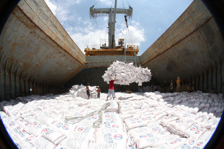 Algeria: Triển vọng cho xuất khẩu gạo Việt Nam