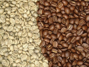 Xuất khẩu cà phê 7 tháng đầu năm sang Algeria tăng 10%