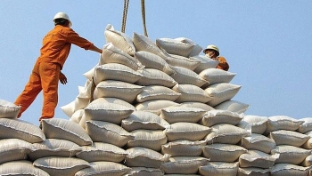 8 tháng đầu năm 2018, xuất khẩu gạo tăng mạnh cả về lượng và giá trị