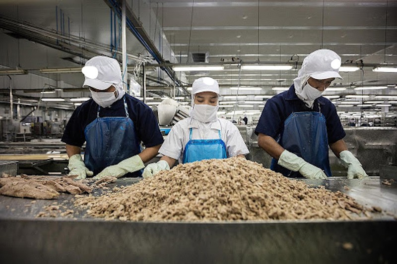 Người Mỹ, EU thích ăn cá ngừ, tôm tẩm bột Việt Nam  - ảnh 1