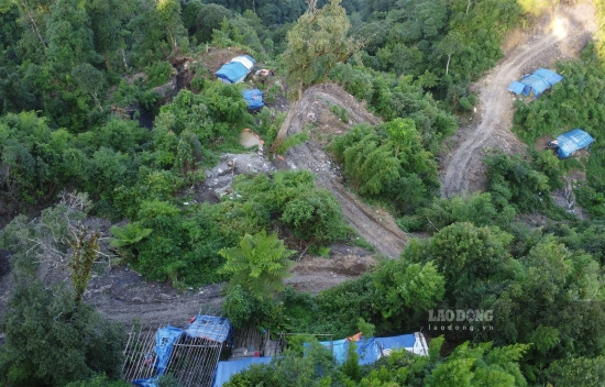 Lai Châu: Băm nát rừng Khun Há tìm giấc mộng vàng
