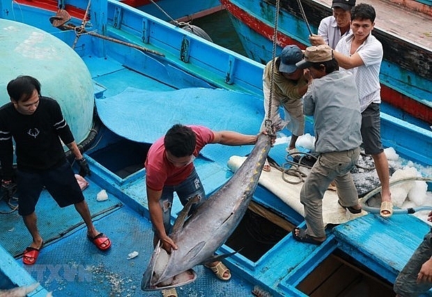 Bàn giải pháp xuất khẩu cá ngừ sang châu Âu theo Hiệp định EVFTA | Kinh doanh | Vietnam+ (VietnamPlus)