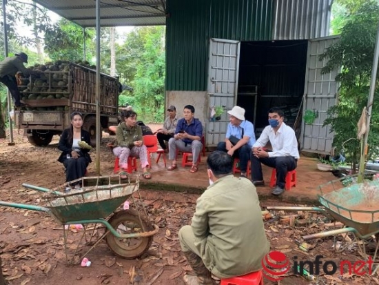 Bất ngờ được cấp mã số vùng trồng sầu riêng tại Đắk Lắk: Cơ quan chức năng vào cuộc