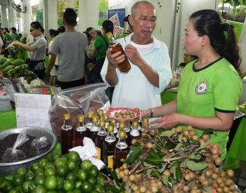 Chợ Tết xanh - Tử tế: Địa chỉ mua hàng nông sản an toàn cho người dân