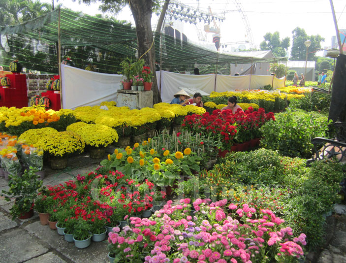 TP. Hồ Chí Minh: Ngập tràn hoa kiểng Tết